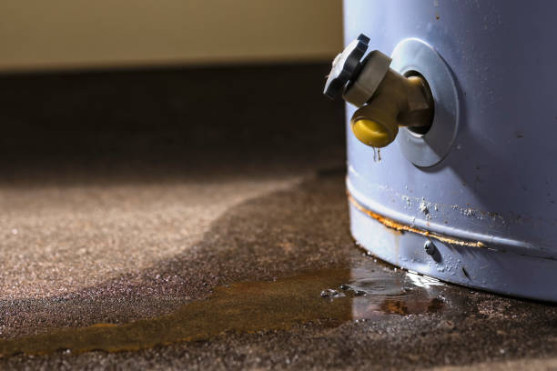 Best Professional water damage repair  in Suitland, MD