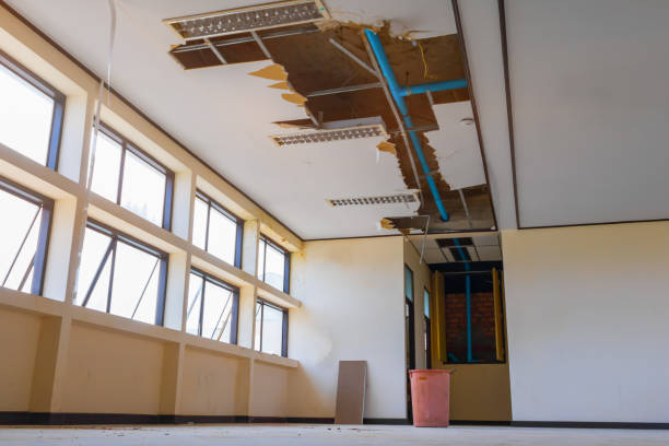 Best Residential water damage restoration  in Suitland, MD