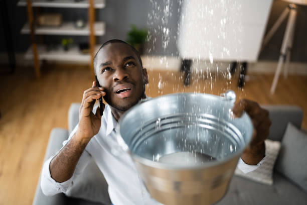 Best Fire Damage Restoration  in Suitland, MD