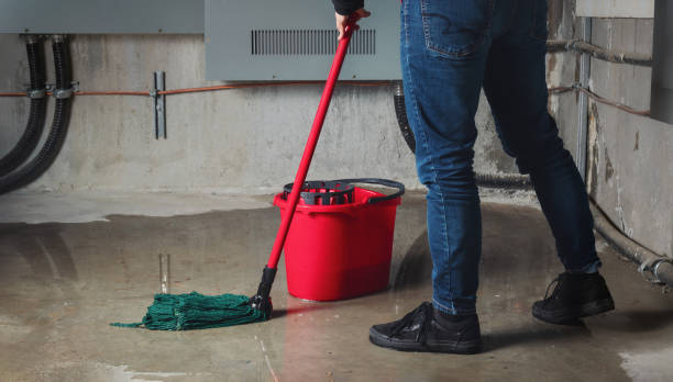 Best Basement water damage restoration  in Suitland, MD