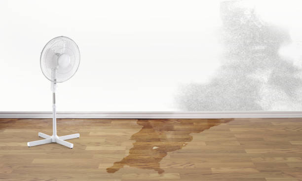 Best Emergency water damage restoration  in Suitland, MD