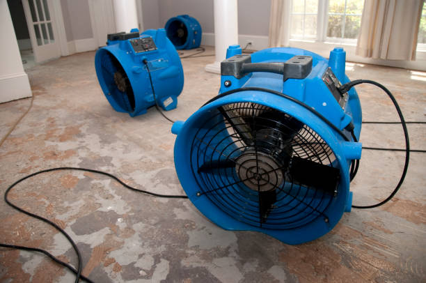 Best Water damage contractors near me  in Suitland, MD