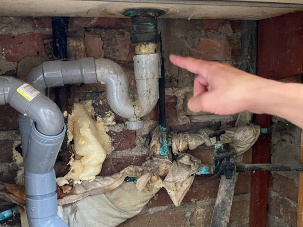 Best Water damage contractors near me  in Suitland, MD
